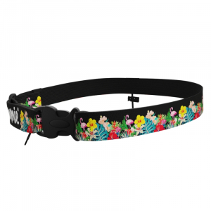 Ceinture porte dossard running trail